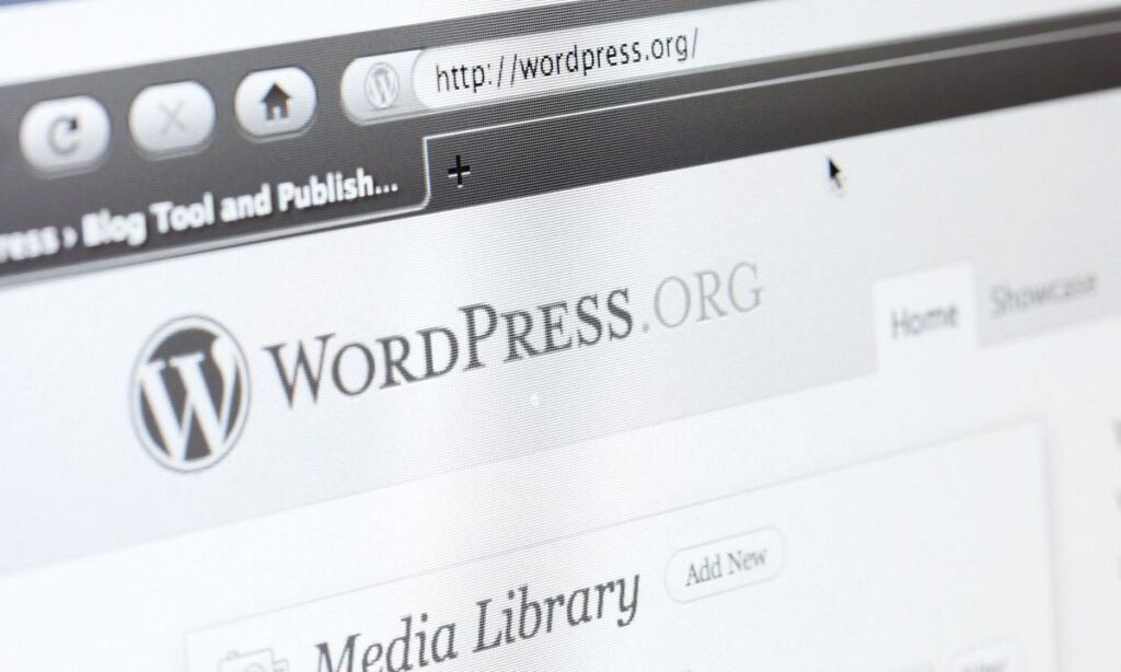 5 Reasons For Owners To Choose WordPress From Website Developers